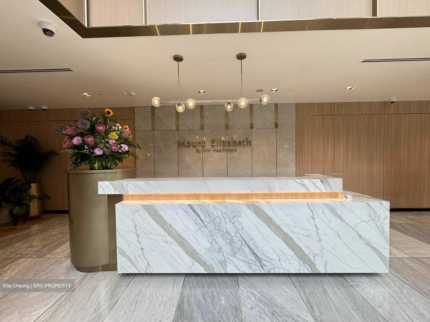 Mount Elizabeth Hospital (D9), Retail #480166461